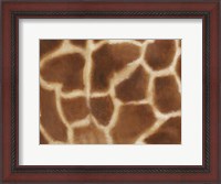 Framed Giraffe II