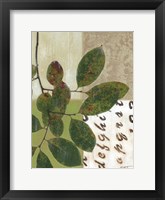 Autumn's Design II Framed Print