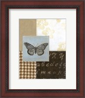 Framed Chic Butterfly II