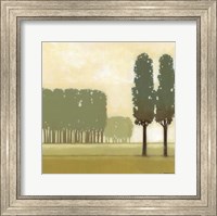 Framed Moss Grove II