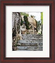 Framed Cobbled Walkway III