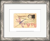 Framed Postcard Dragonfly II