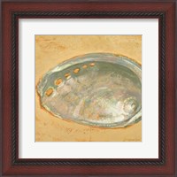 Framed Shoreline Shells III