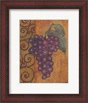 Framed Scrolled Grapes I