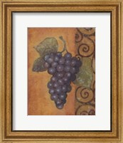 Framed Scrolled Grapes II