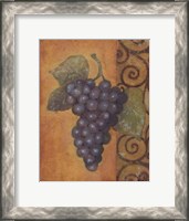 Framed Scrolled Grapes II