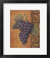 Scrolled Grapes II Framed Print