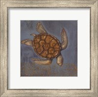 Framed Sea Turtle I