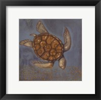 Framed Sea Turtle I