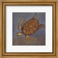 Framed Sea Turtle II