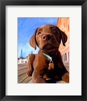 Framed Lab Puppy