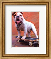 Framed Bull Dog Nose Grind