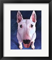 Framed Bull Terrier Bronson