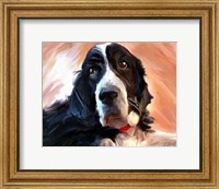 Framed Springer