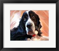 Framed Springer