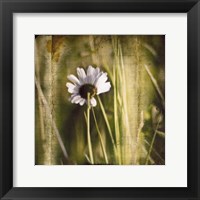 Green I Framed Print