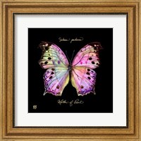 Framed Striking Butterfly III
