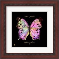 Framed Striking Butterfly III