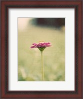 Framed Flower Portrait I