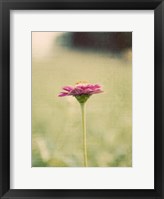 Framed Flower Portrait I