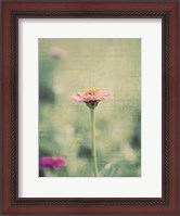 Framed Flower Portrait IV