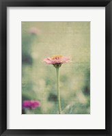 Framed Flower Portrait IV