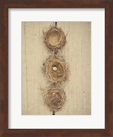 Framed Nesting II