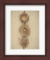 Framed Nesting II