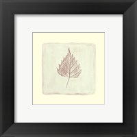 Framed Leaf Impression lll