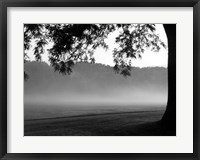 Fog in the Park I Framed Print