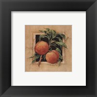 Framed Peach Square