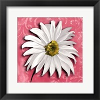 Framed Blooming Daisy III