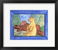Framed Bears Without Cares