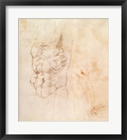 Framed Torso Study