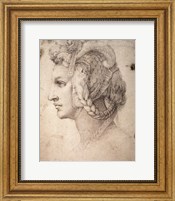 Framed Study of Head