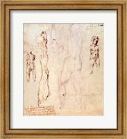 Framed Anatomical drawings with accompanying notes