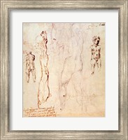 Framed Anatomical drawings with accompanying notes