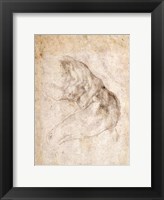 Framed Study for The Creation of Adam