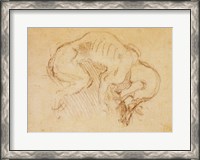 Framed Study of a dog