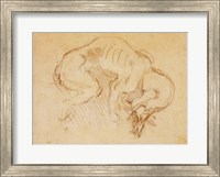 Framed Study of a dog