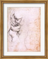 Framed Study of torso and buttock