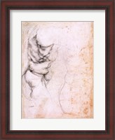 Framed Study of torso and buttock