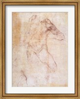 Framed Study of a male nude