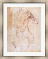 Framed Study of a male nude
