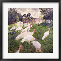 Framed Turkeys at the Chateau de Rottembourg, Montgeron, 1877