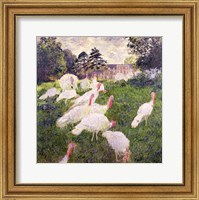 Framed Turkeys at the Chateau de Rottembourg, Montgeron, 1877