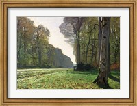 Framed Road to Bas-Breau, Fontainebleau (Le Pave de Chailly), c.1865