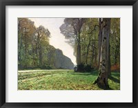 Framed Road to Bas-Breau, Fontainebleau (Le Pave de Chailly), c.1865