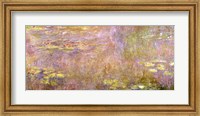 Framed Waterlilies, after 1916