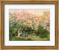 Framed Lilac in the Sun, 1873
